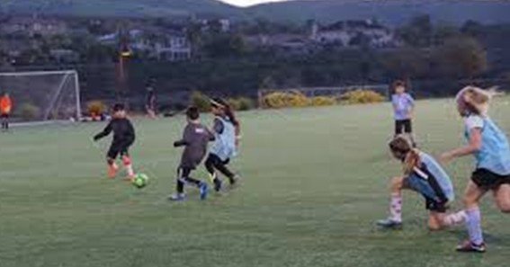 san diego force fc